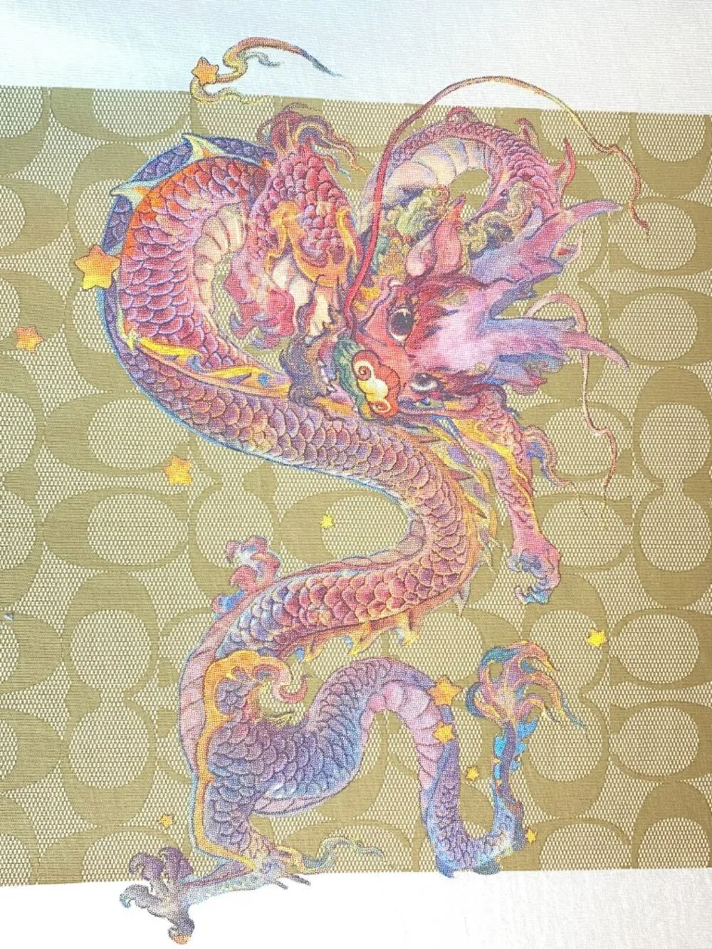 Coach x Guang Yu Dragon Graphic T-Shirt White Large 100% Cotton Tee
